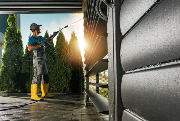 Best Soft Washing for Delicate Surfaces in Montour Falls, NY